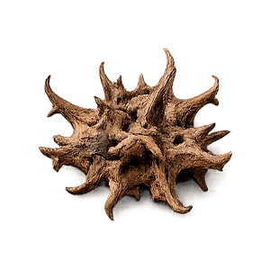 Artroflex Active — Ekstrakt z diabelskiego pazura (Harpagophytum procumbens)
