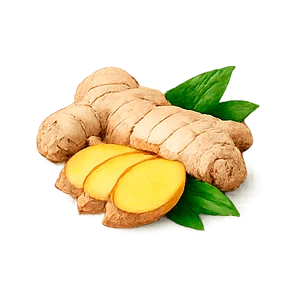 Artroflex Active — Ekstrakt z korzenia imbiru (Zingiber officinale)